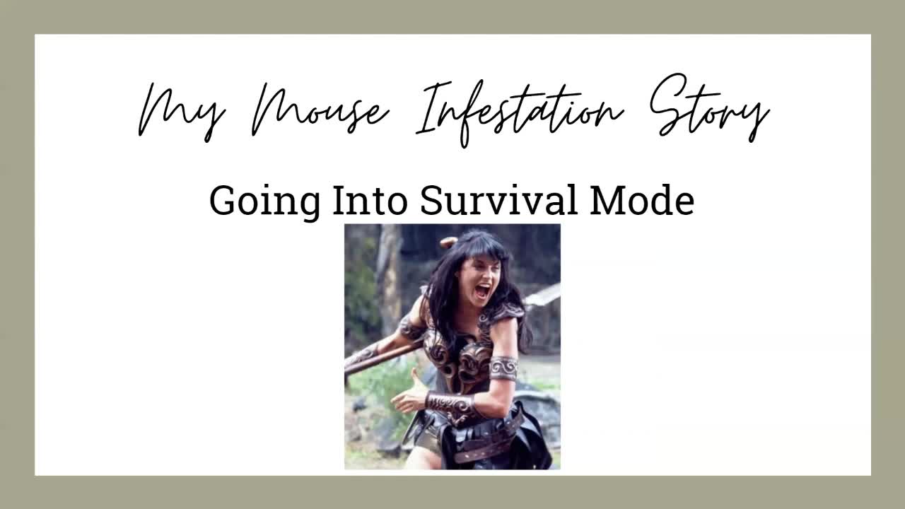Mental Mice Part 1: The Story
