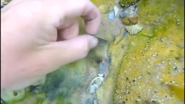 Clean up the underwater garbage and protect the marine natural environment.#5