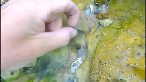 Clean up the underwater garbage and protect the marine natural environment.#5