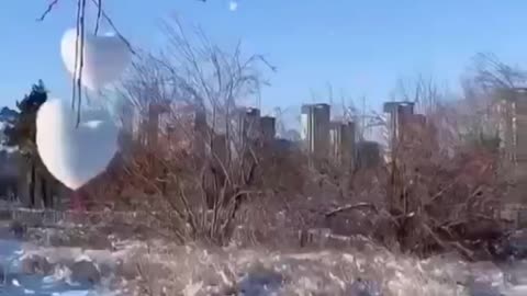 snowy winter