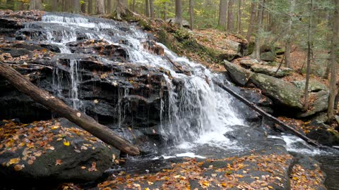 Ontario Has A Hidden Waterfall Trail That Looks Like It Belongs In The Amazon Rainforest