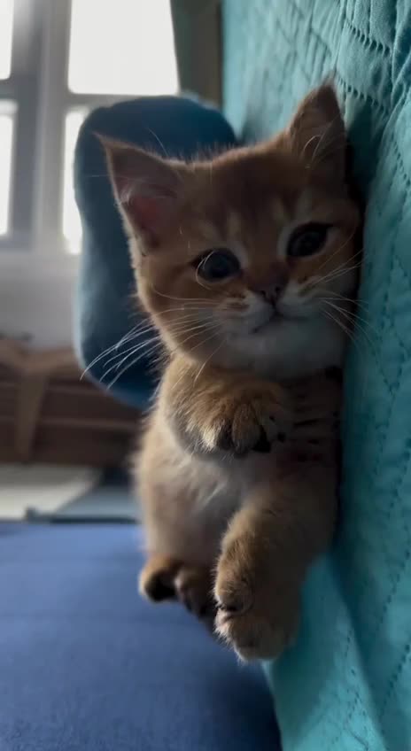 Good morning goes out to my awesome followers and viewers 😊