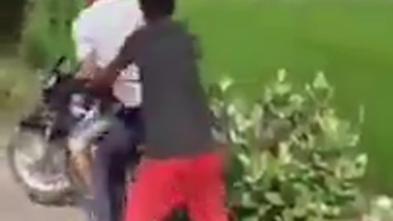 funny video