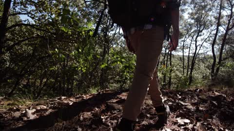 Man walking through forest