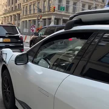 funny|prank|jokes|funny jokes|dad jokes|funny memes|funny video|fun|laughing|funny animal|knock