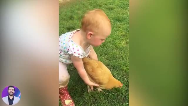 Baby Reaction When Play with Chicken