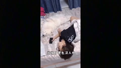 OMG So Cute Cats ♥ Best Funny Cat Videos