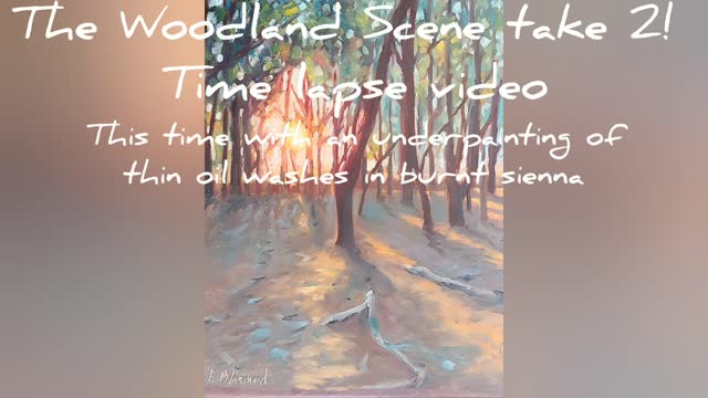 Woodland Scene Time Lapse Take 2!