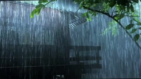 Enjoy Rain and Thunder Sounds to Sleep, Study, Relax, Reduce Stress and kick out insomnia now