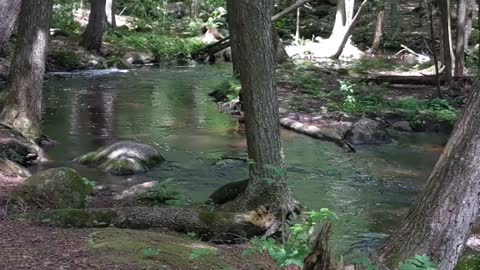 Beautiful waterfalls McClintock Park