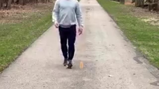 Kinds of Walk