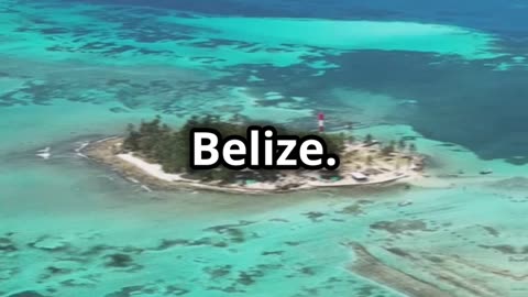 🌊 The Blue Hole, Belize: Diving into One of the World’s Greatest Natural Wonders 🌊