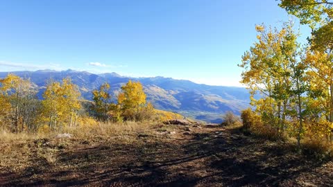 flying forward through fall foliage and over cliff in colorado rocky mountain