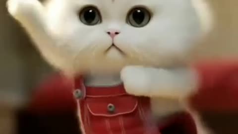 Cute cat 🐈 😻 🐈‍⬛ 😍 and ☺ ❤ 😌 🤪 is the most popular