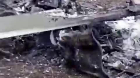 Russian helicopter shot down by Ukrainian missiles |