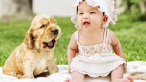 Cute baby laughing with animals