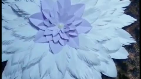 Paper flower wall hanging #craft