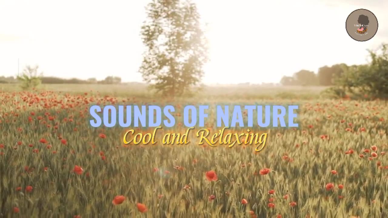 15 Minute Sounds of Nature - Cool and Relaxing Music #nature #birds