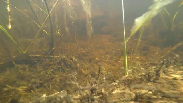 Underwater Adventure