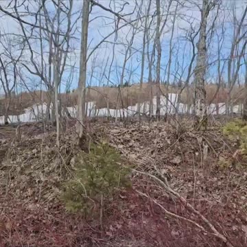 Escape to the Country