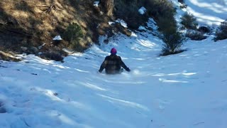 Sledding into a tree stump!