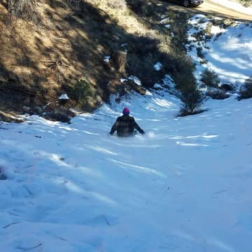 Sledding into a tree stump!