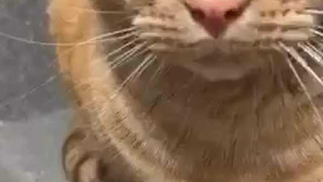 "He sticks by my side no matter the consequences"