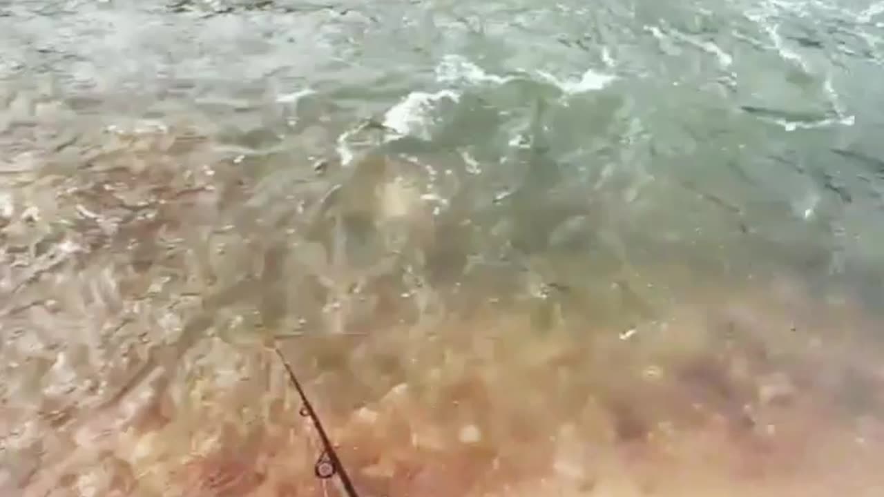 Fishing | Got a fast current spot