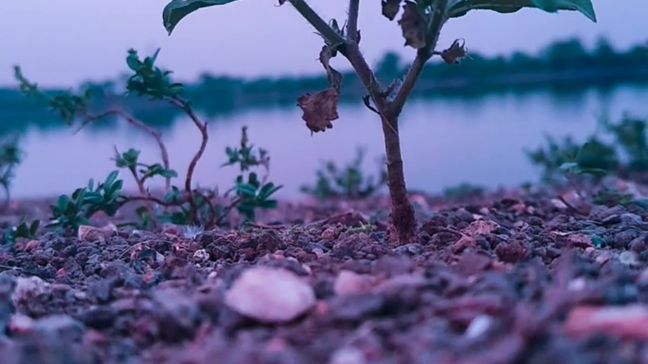 Wild photography