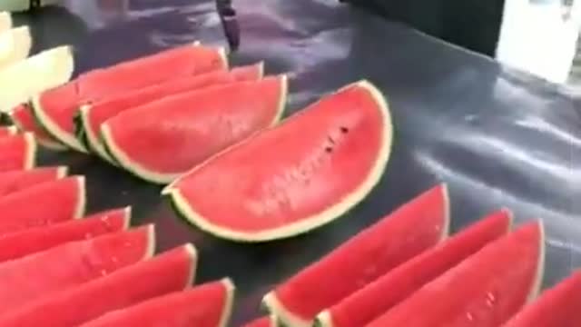 6.watermelon #shorts