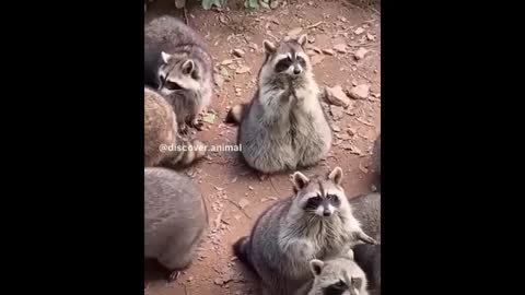 Watch this video you will be surprised