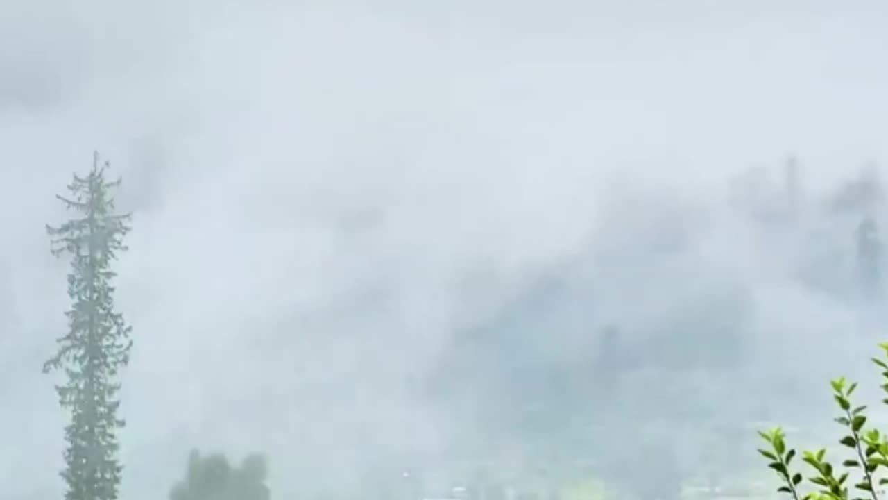 viral