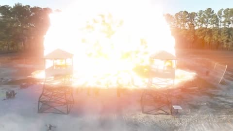 100 day trapped survive