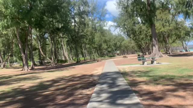 Sherwood Forest Oahu