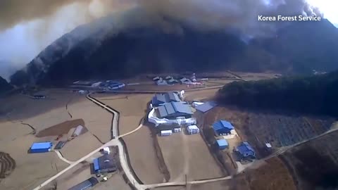 Footage shows wildfire near South Korea nuclear plant
