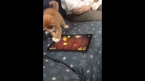 A cat that can play games.