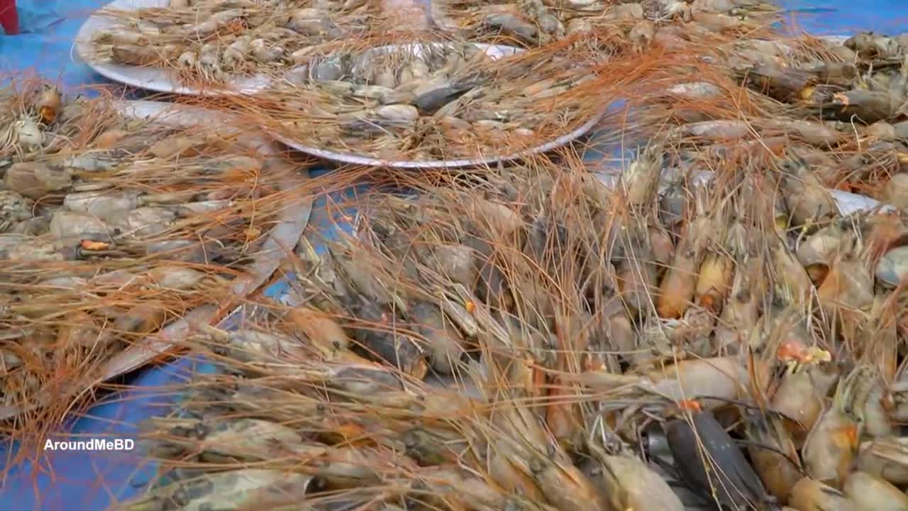 Ever Eat Shrimp Head Spice Cake? Prawn Head Fry Recipe Cooking in Village - Chingrir Mathar Chop