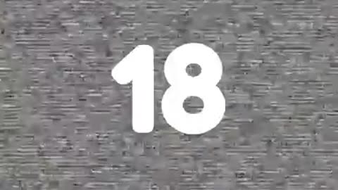 Animals moody day ViralSnare