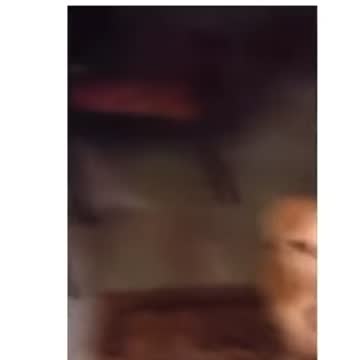 Once you run into a window you have trust issues