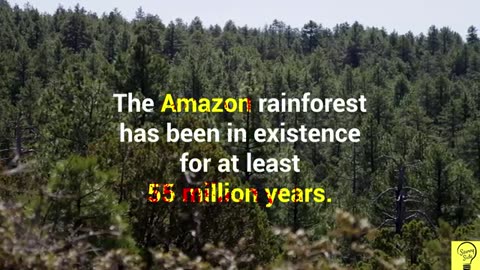 #amazing facts about Amazon rainforest#