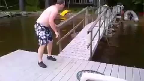 Funny Clumsy Dogs That Made My Day!