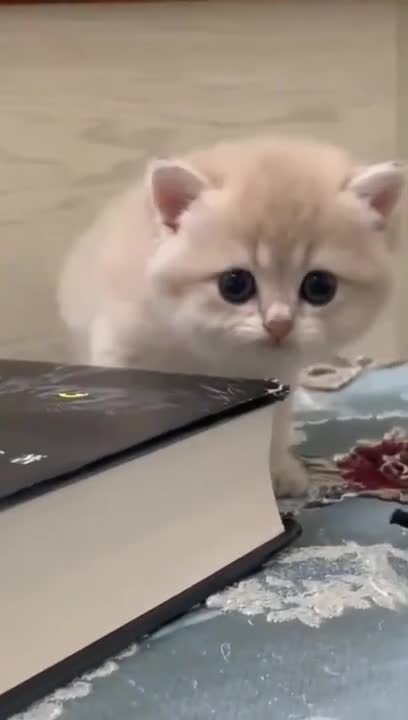 Every day. Every. Darn. Day.