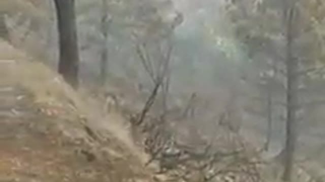 Συγγνώμη... Αποτύχαμε ως είδος...