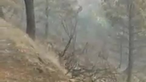 Συγγνώμη... Αποτύχαμε ως είδος...