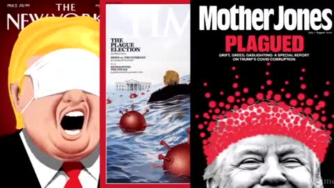 How to steal an election