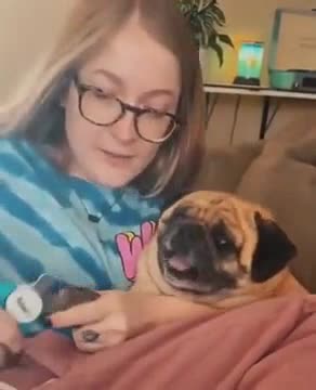 Doggo Is Absolutely Petrified Of Getting It's Nails Clipped!