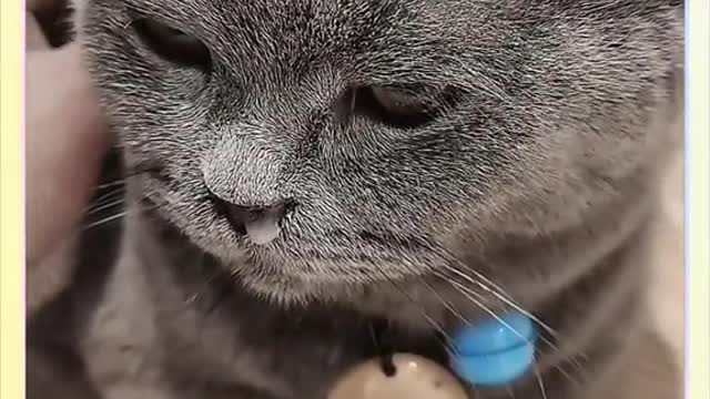 Look in the eyes to kill