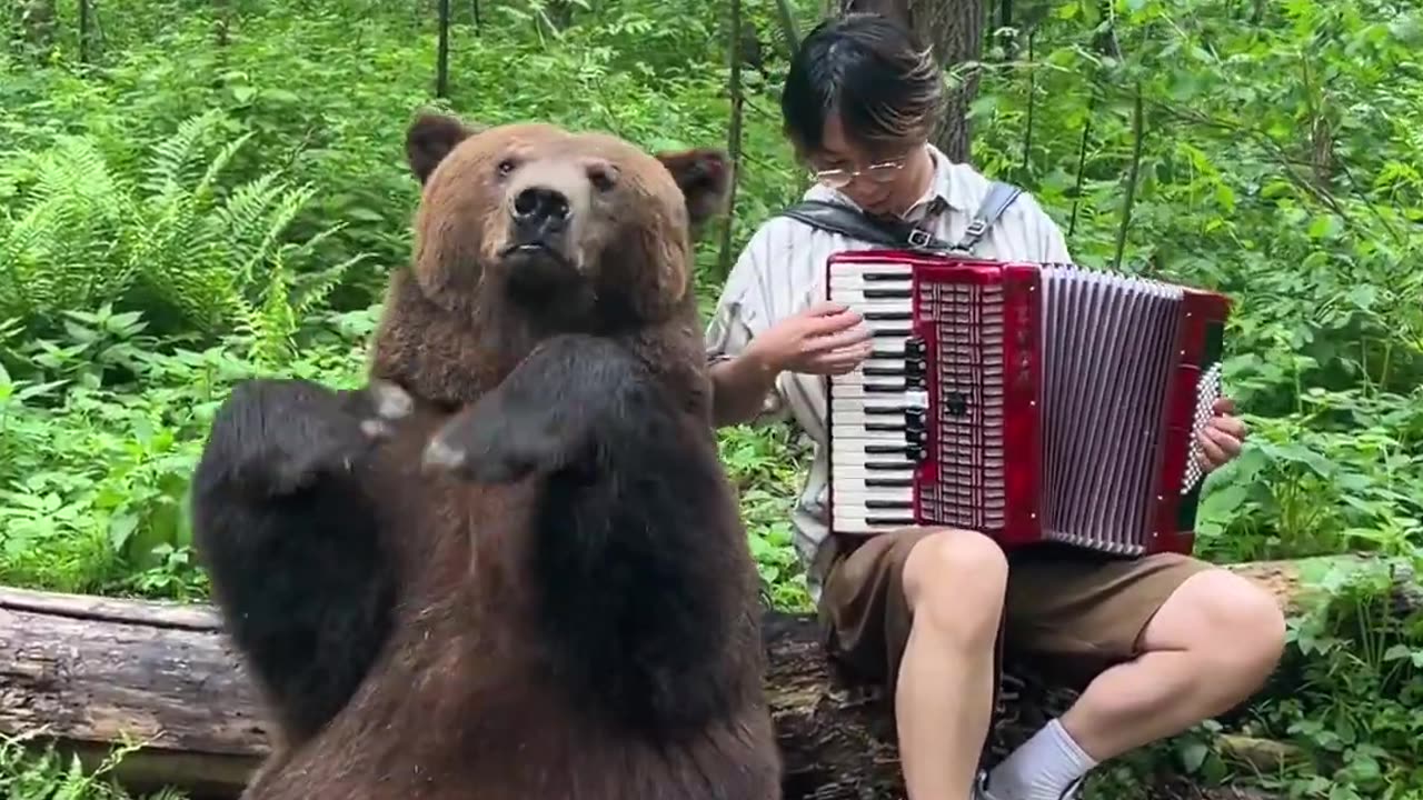 Play fun music with bear