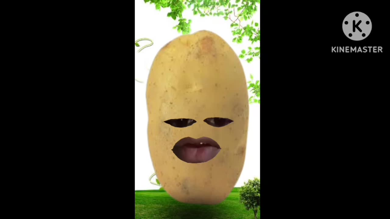 फनी विडियो