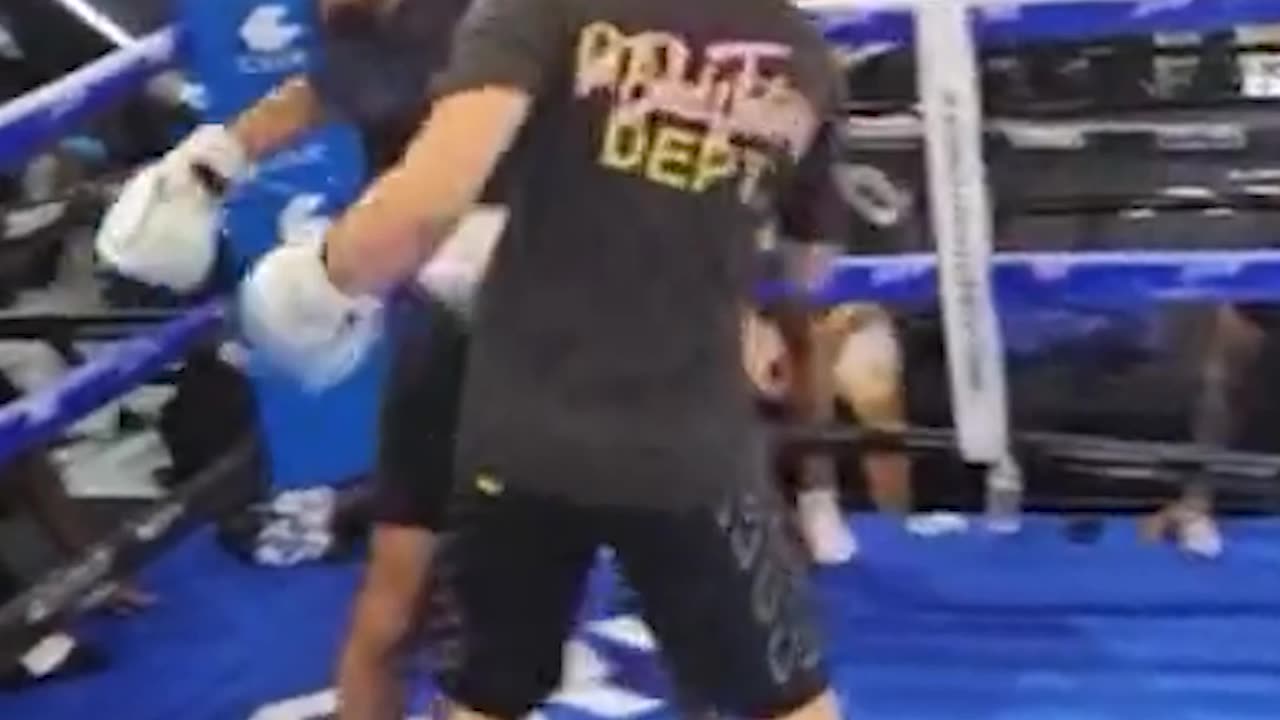 Adin Ross VS Andrew Tate Boxing Update